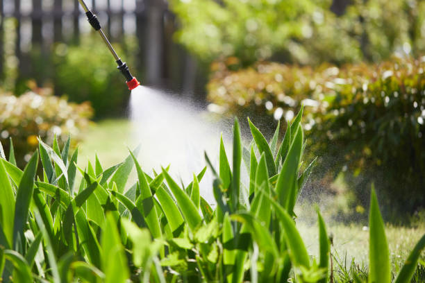 Tamper-Resistant Bait Stations for Rodents in Bay St. Louis