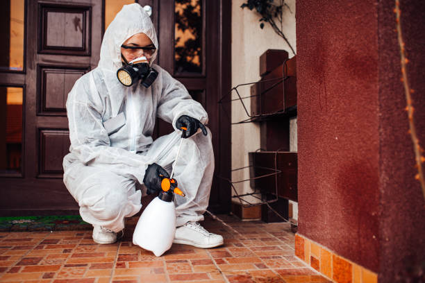 Attic and Crawl Space Rodent Treatment in Bay St. Louis