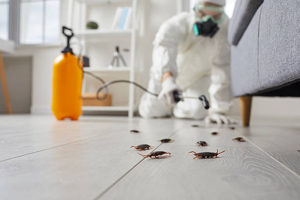 Commercial Rodent Management in Bay St. Louis